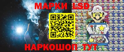 Альфа ПВП Гатчина