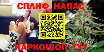 молекула духа Гагарин