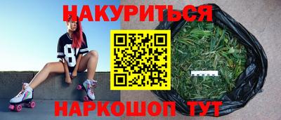 сатива Гай
