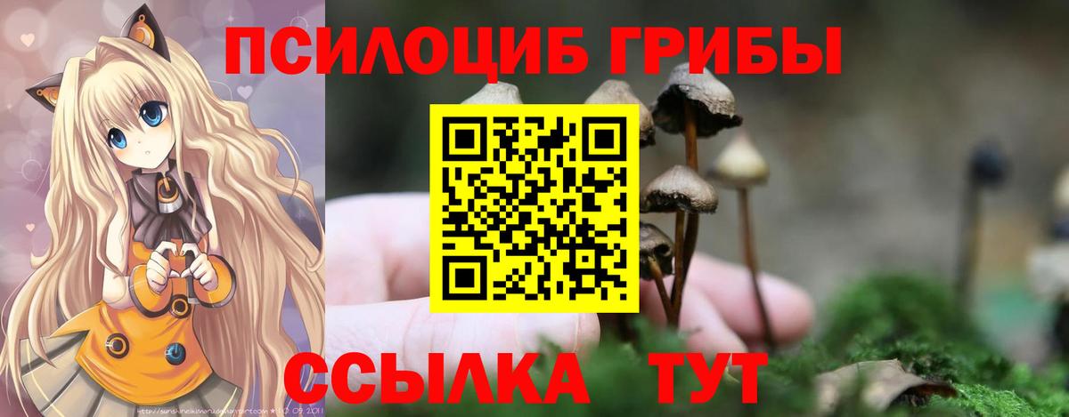 Галлюциногенные грибы Psilocybe Воткинск